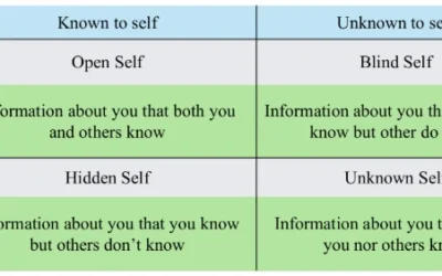 Johari Window | Tools and Techniques